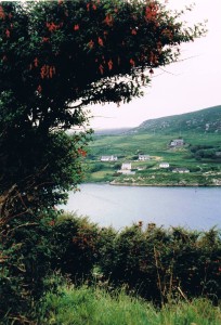 Ierland 2005-8